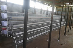 Chicken Cage Hot Sale In Kenya