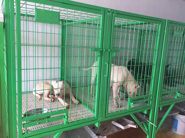 Large Dog Cage