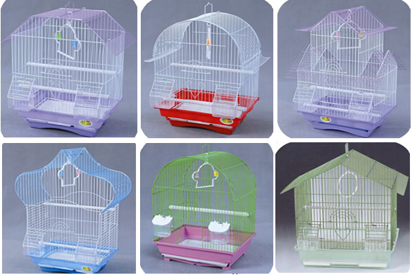 Bird Cage-2