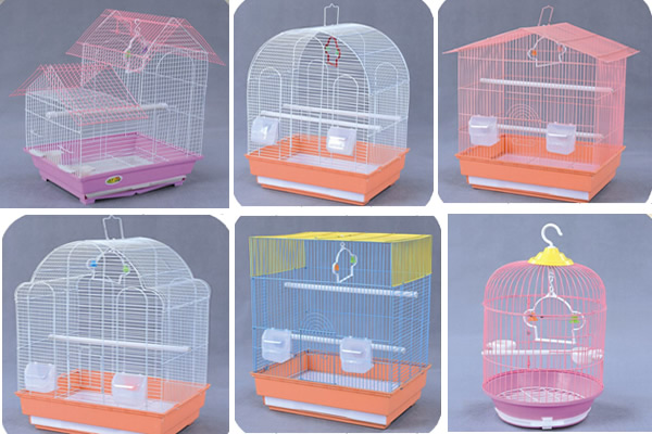 Bird Cage-3