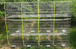 H Type Rabbit Cage