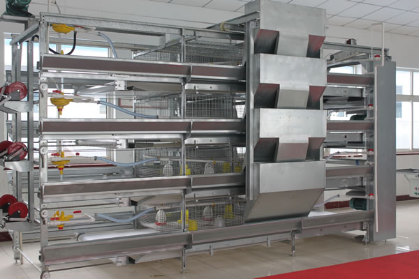 H Type Ladder Type Feeding Machine