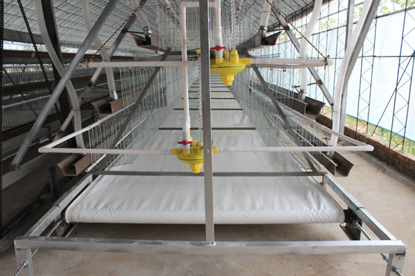 Conveyor Belt Type Manure Removal