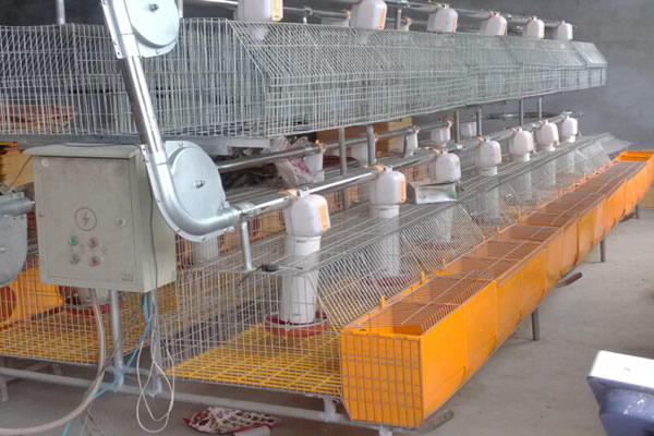 Automatic Rabbit Cage