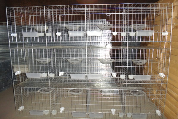 12 Cells Pigeon Cage