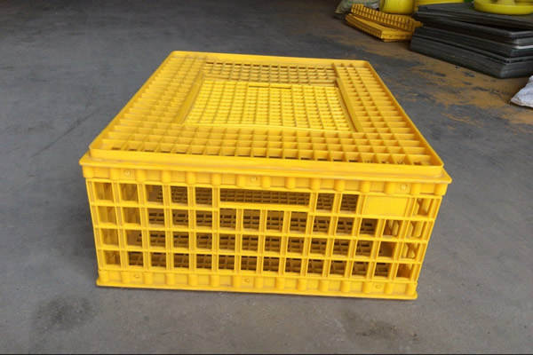 Plastic Transport Cage