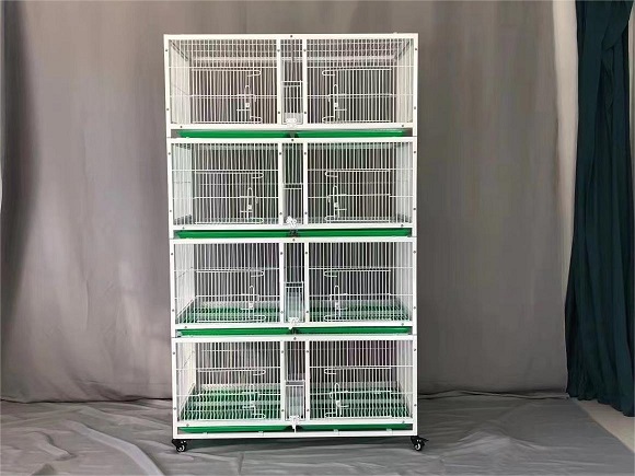 4 tier Pigeon Cages Loft Cages Pigeons