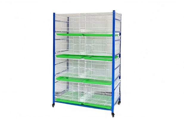 New Design Four Layer Pigeon Cages