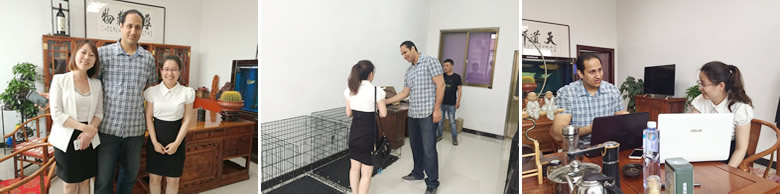 Canada customers visit us for dog crate