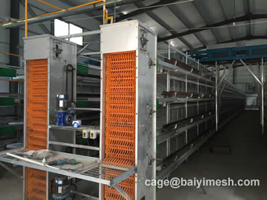 H Type Automatic Feeding & Belt Manure Remove & Egg Collection