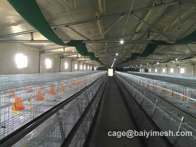 A Type Broiler Chicken Cage