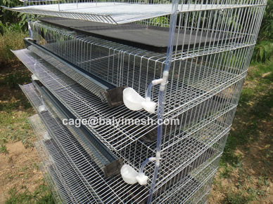 Quail Cage for sale