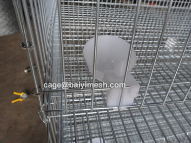 Quail Cage for sale