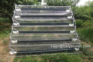 quail cage design