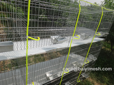 rabbit cage farm