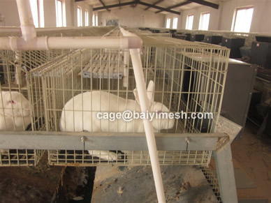 commercial rabbit cage supplier